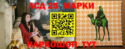 винт Донской