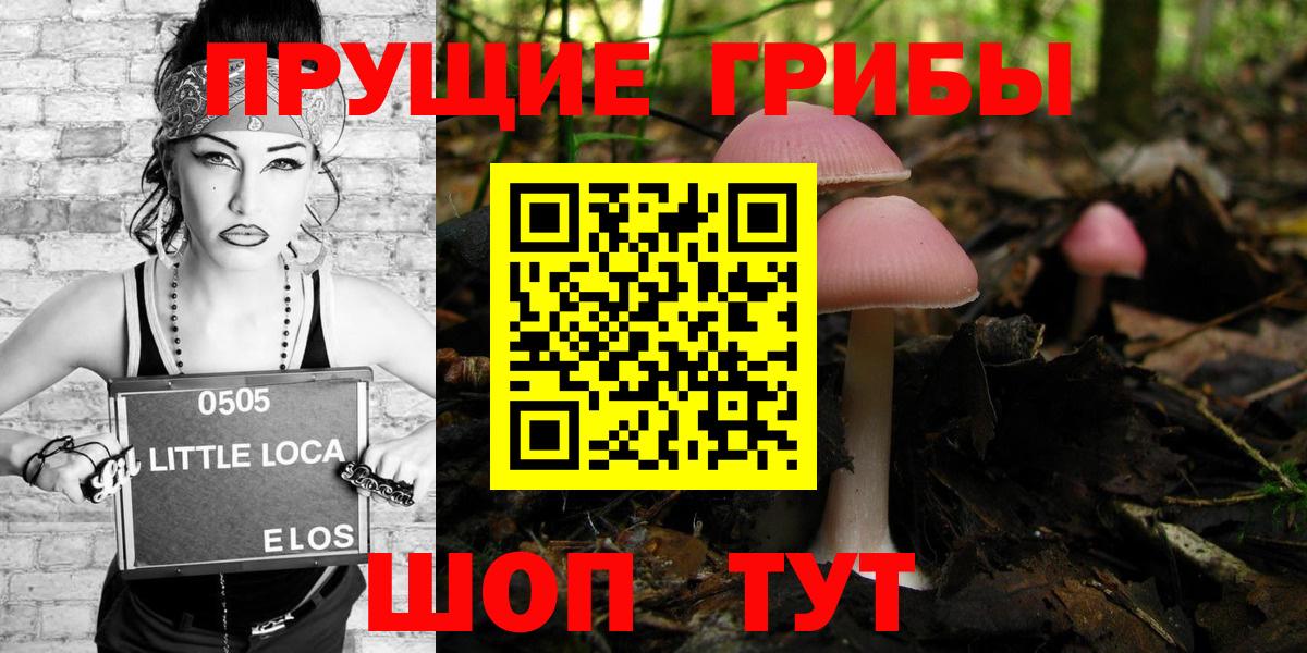 Галлюциногенные грибы Psilocybe  Вход с VPN  Моздок  Галлюциногенные грибы прущие грибы 
